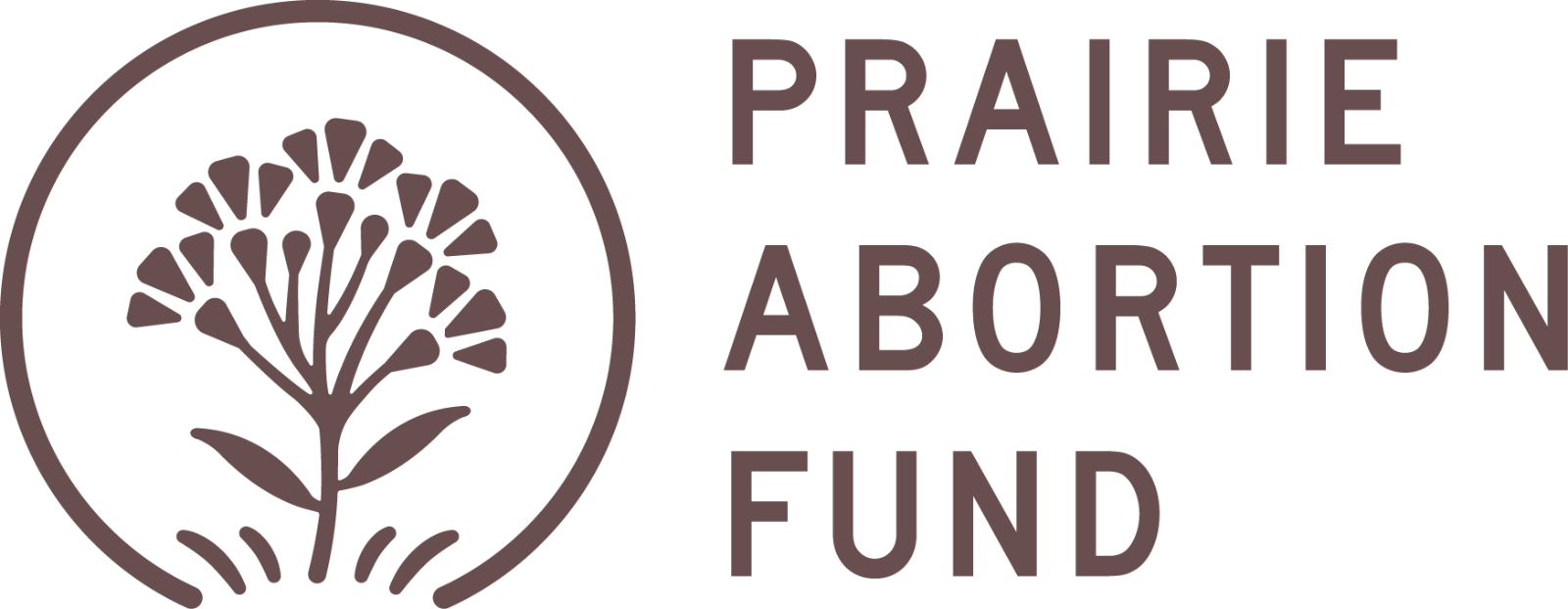 PAF-logo-primary-terra.png